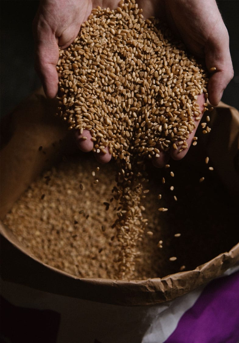 Hands pouring grain for Grana's on-site mill
